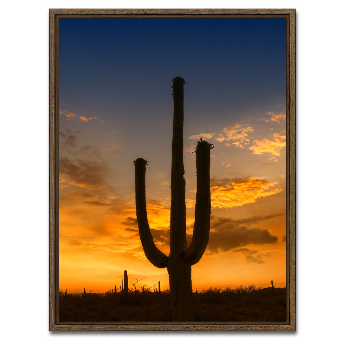 AUTO-MOCKUP WHITE | SAGUARO NATIONAL PARK Sunset | 1 Piece | Walnut Framed Canvas | group=3x4