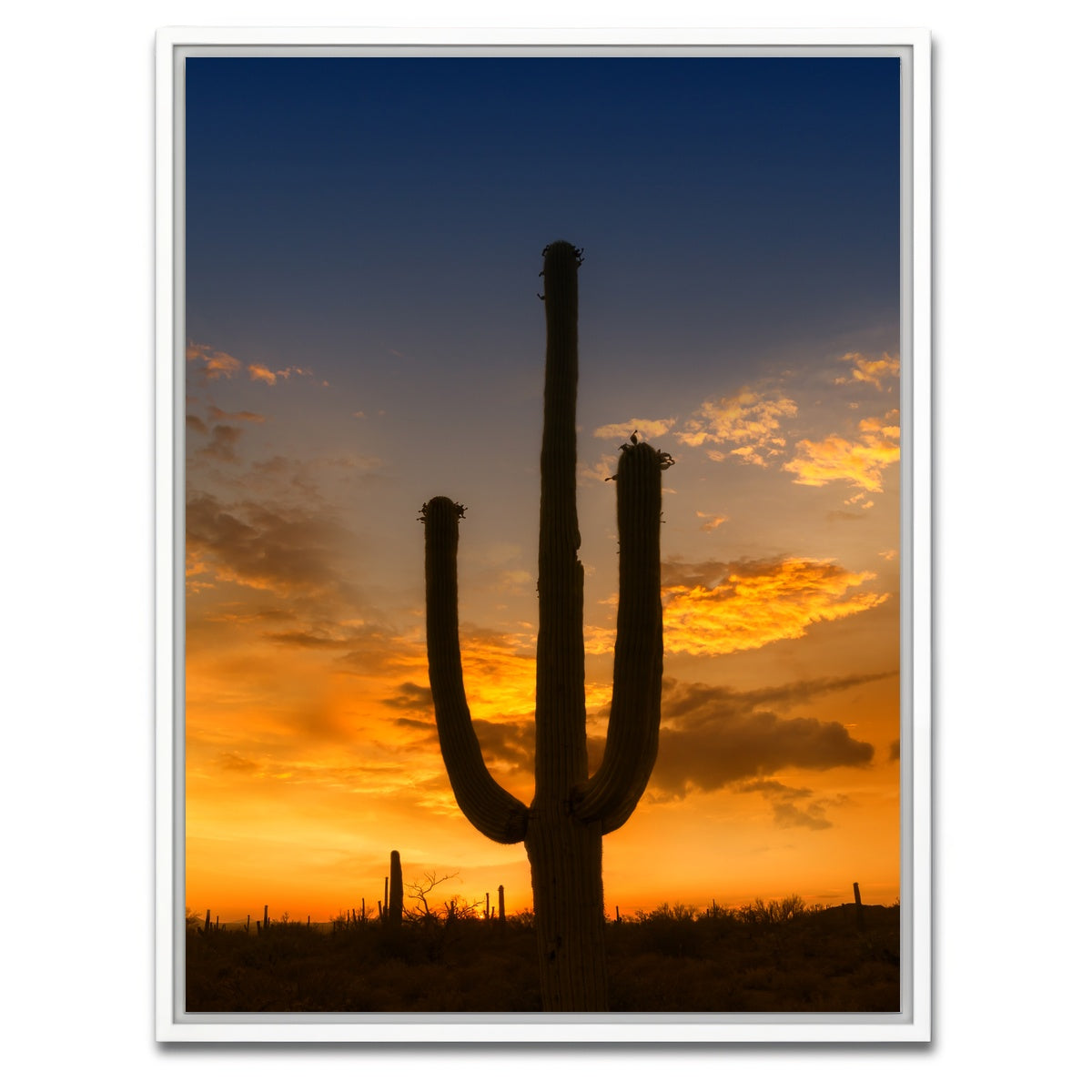 AUTO-MOCKUP WHITE | SAGUARO NATIONAL PARK Sunset | 1 Piece | White Framed Canvas | group=3x4