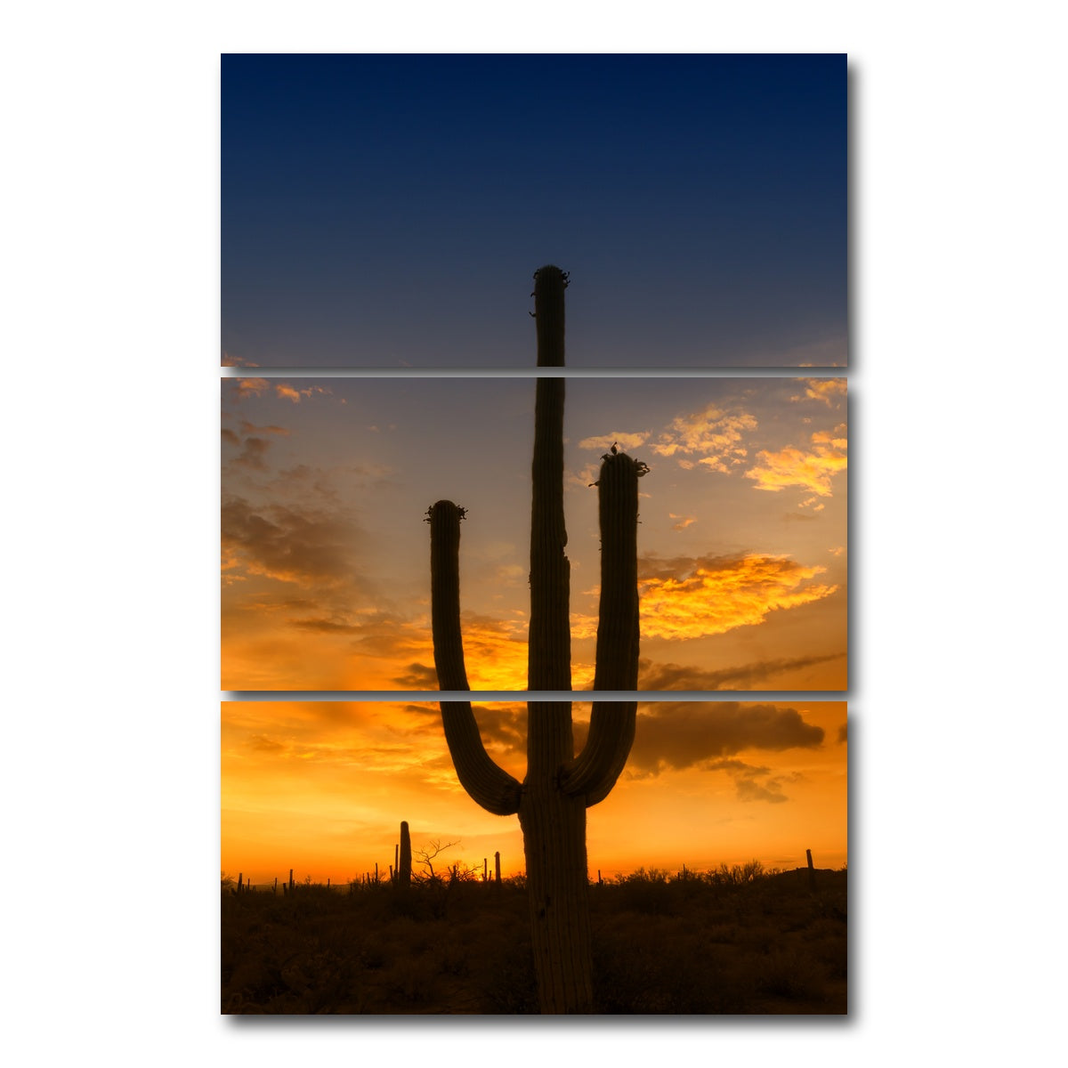 AUTO-MOCKUP WHITE | SAGUARO NATIONAL PARK Sunset | 3 Piece | Gallery Wrap Canvas | group=12x24_stacked