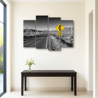 AUTO-MOCKUP ROOM | Saguaro National Park Bajada Loop Drive