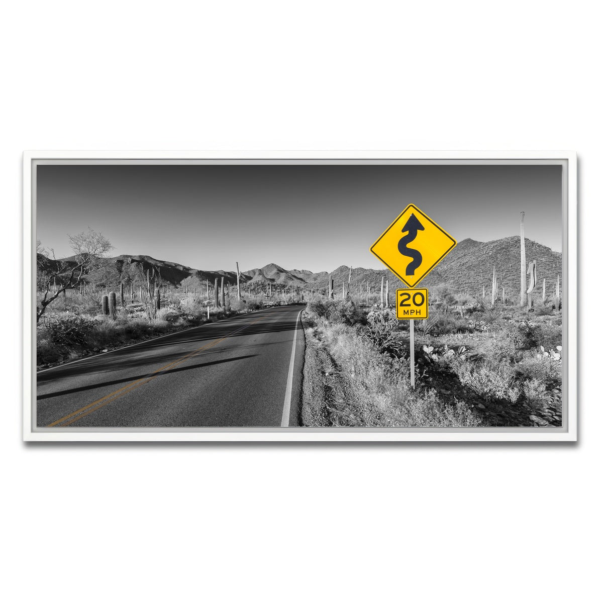 AUTO-MOCKUP WHITE | Saguaro National Park Bajada Loop Drive | 1 Piece | White Framed Canvas | group=2x1