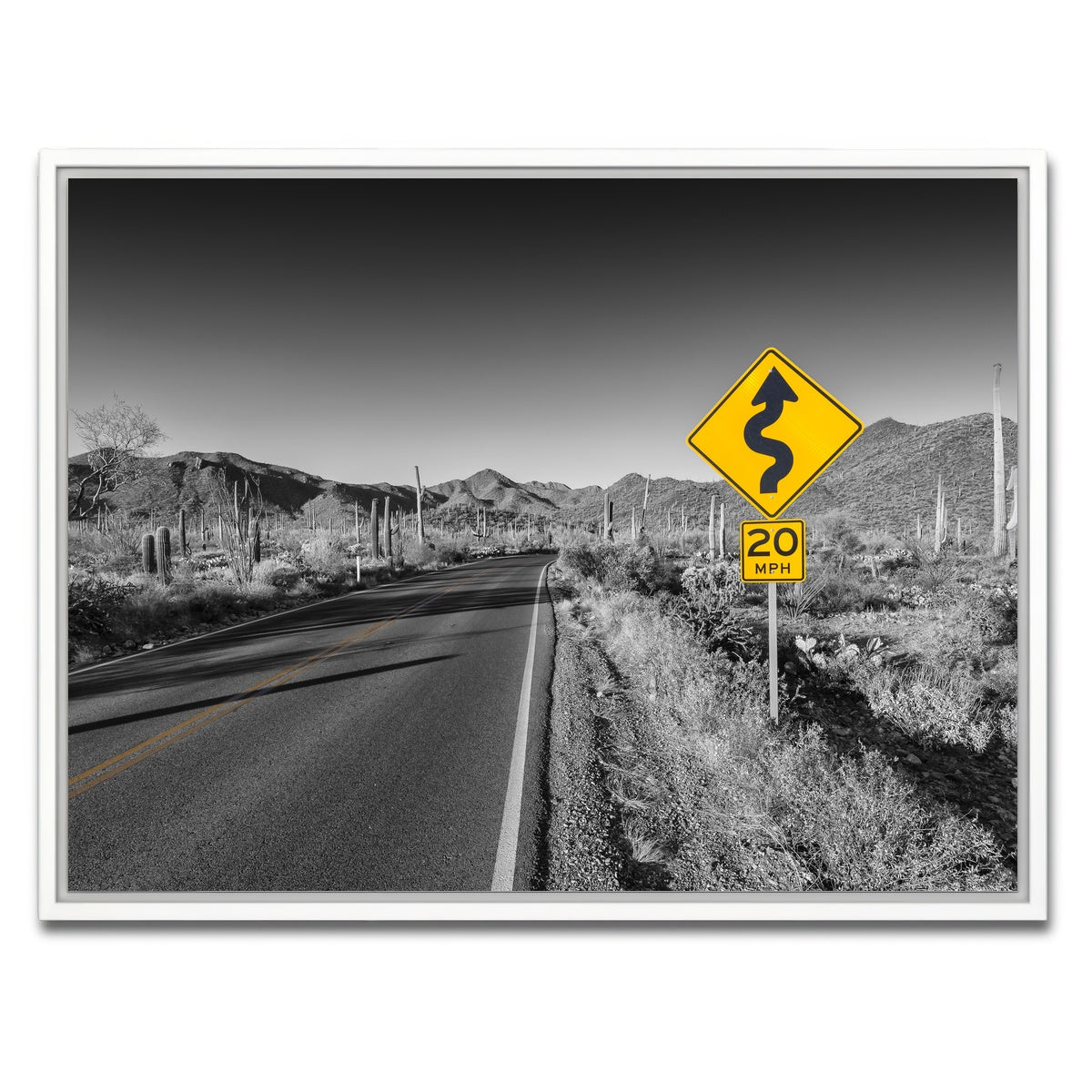 AUTO-MOCKUP WHITE | Saguaro National Park Bajada Loop Drive | 1 Piece | White Framed Canvas | group=4x3