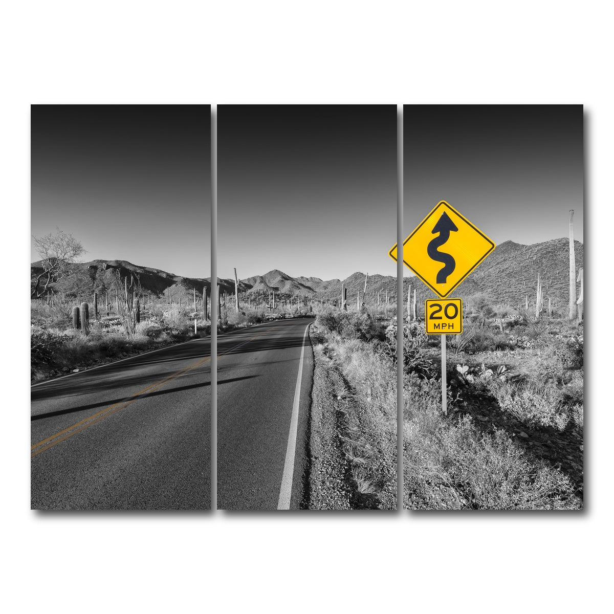 AUTO-MOCKUP WHITE | Saguaro National Park Bajada Loop Drive | 3 Piece | Gallery Wrap Canvas | group=8x18