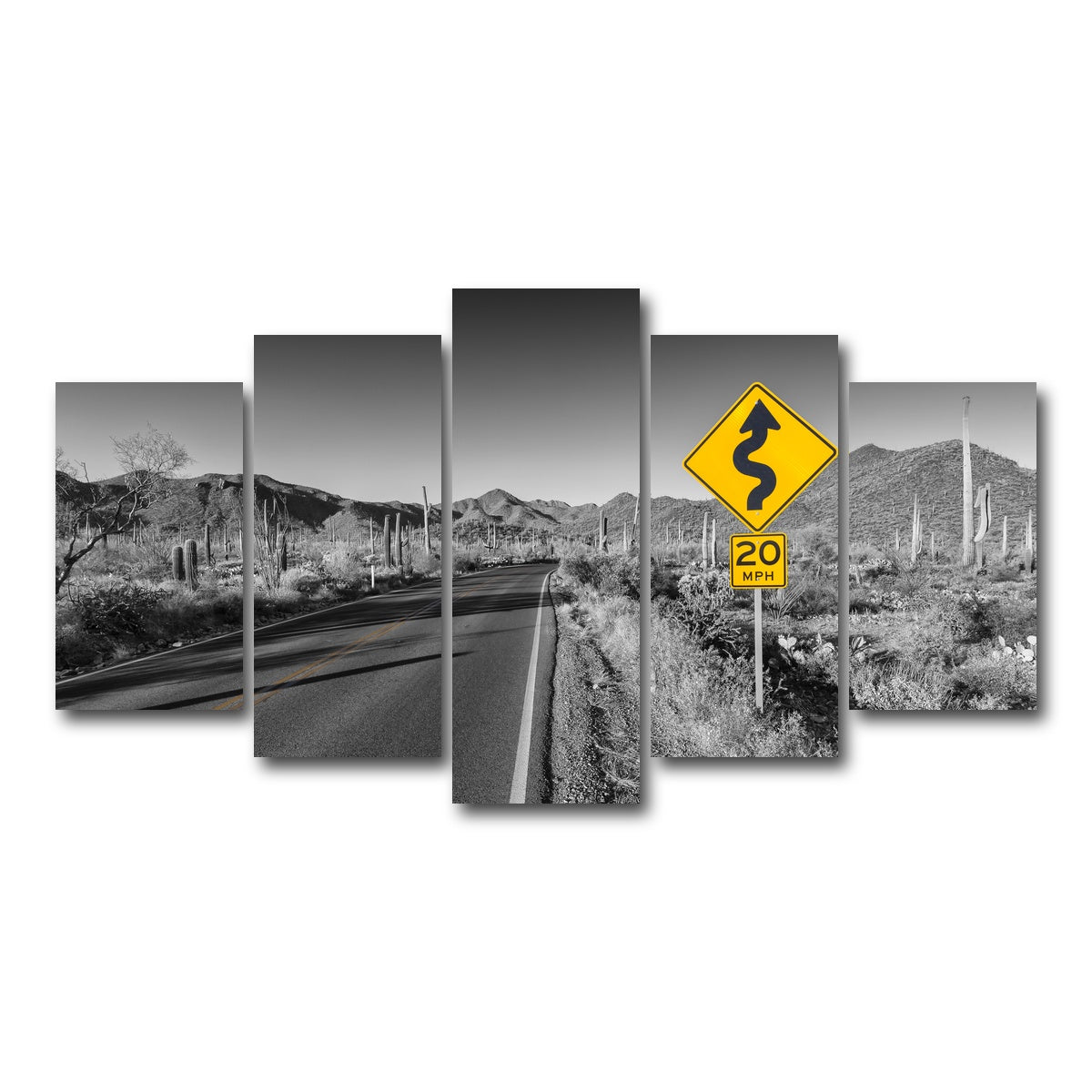 AUTO-MOCKUP WHITE | Saguaro National Park Bajada Loop Drive | 5 Piece | Gallery Wrap Canvas | group=5_normal