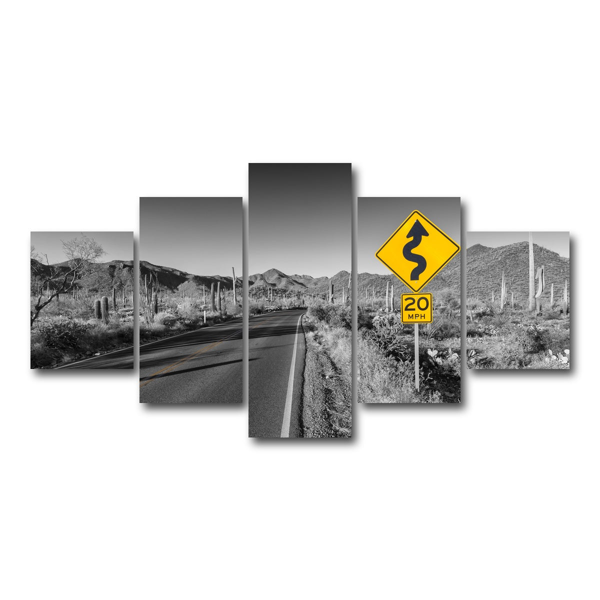AUTO-MOCKUP WHITE | Saguaro National Park Bajada Loop Drive | 5 Piece | Gallery Wrap Canvas | group=5_short