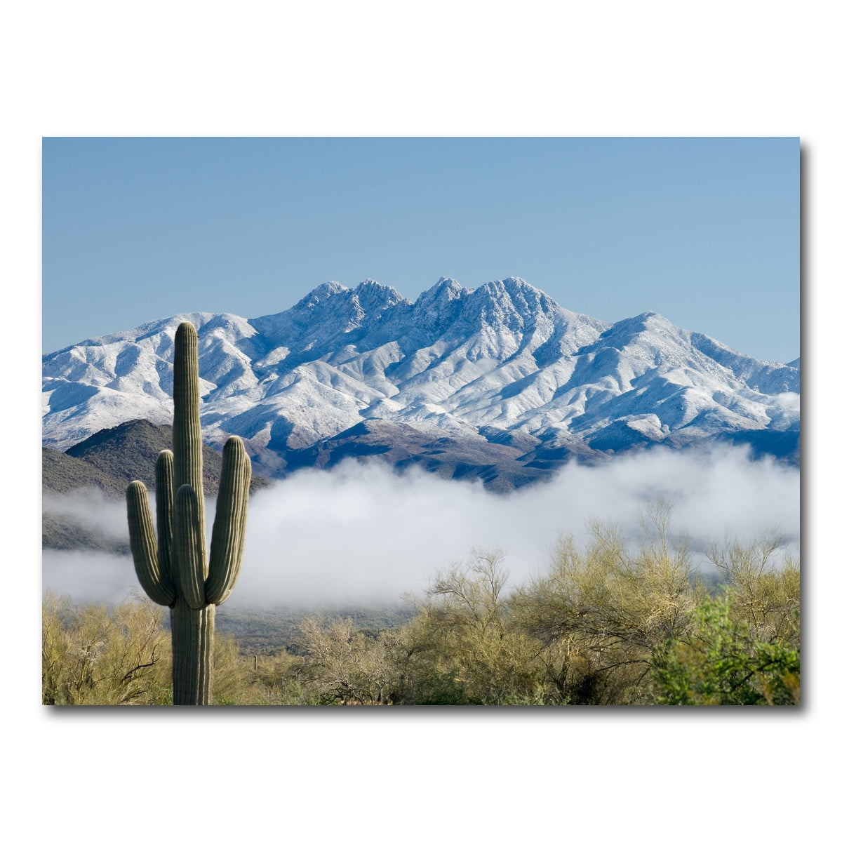 AUTO-MOCKUP WHITE | Saguaro and Four Peaks | 1 Piece | Gallery Wrap Canvas | group=4x3