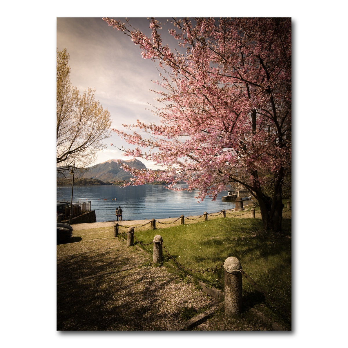 AUTO-MOCKUP WHITE | Sakura on Lake Como | 1 Piece | Gallery Wrap Canvas | group=3x4