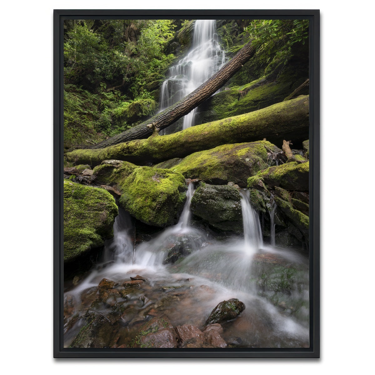 AUTO-MOCKUP WHITE | Salamander's Lair | 1 Piece | Black Framed Canvas | group=3x4