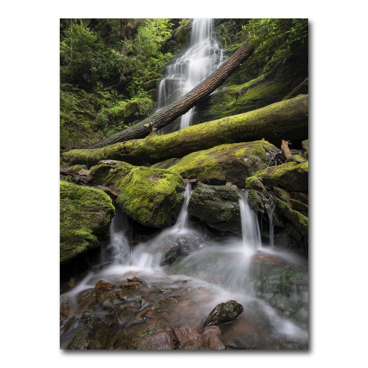 AUTO-MOCKUP WHITE | Salamander's Lair | 1 Piece | Gallery Wrap Canvas | group=3x4