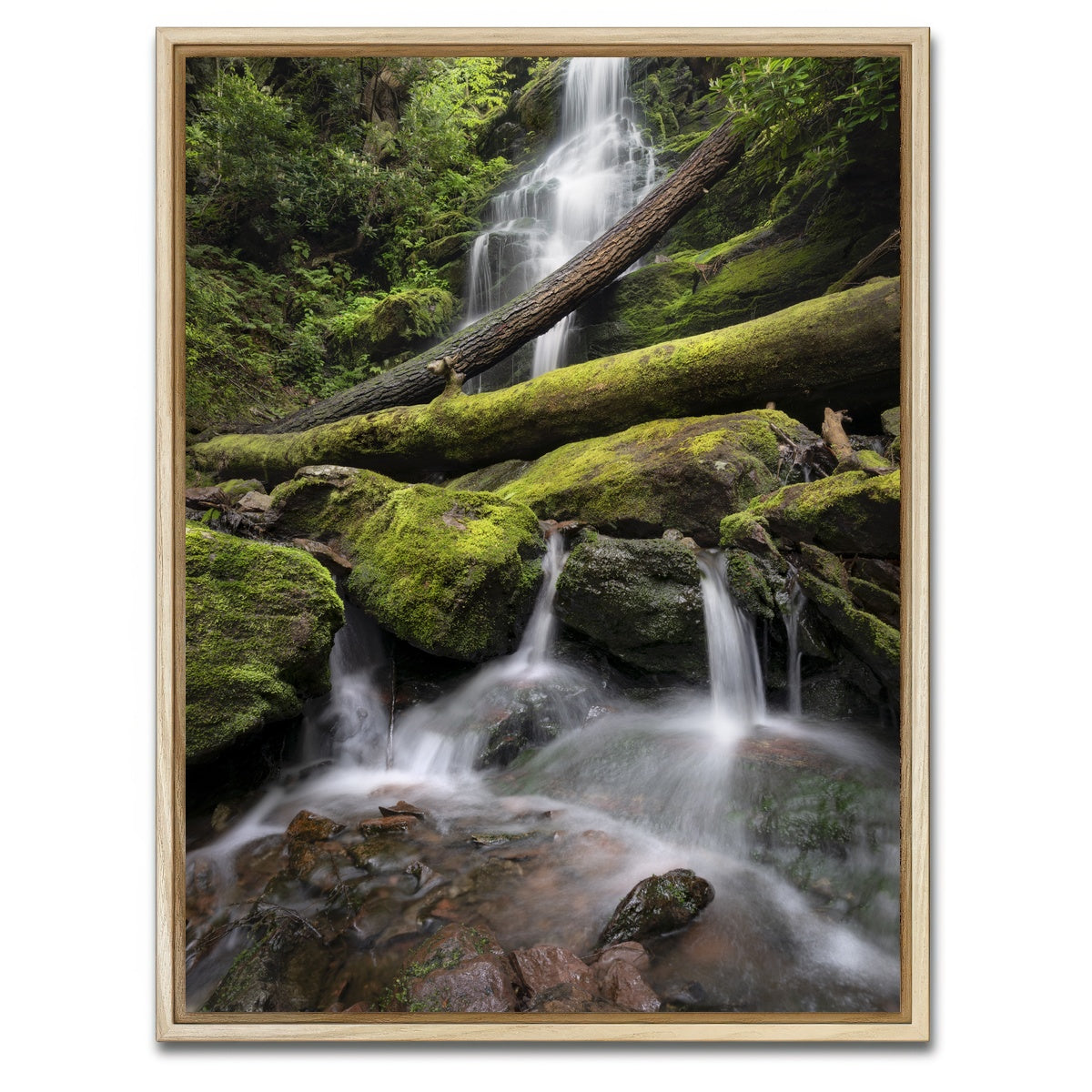 AUTO-MOCKUP WHITE | Salamander's Lair | 1 Piece | Natural Framed Canvas | group=3x4
