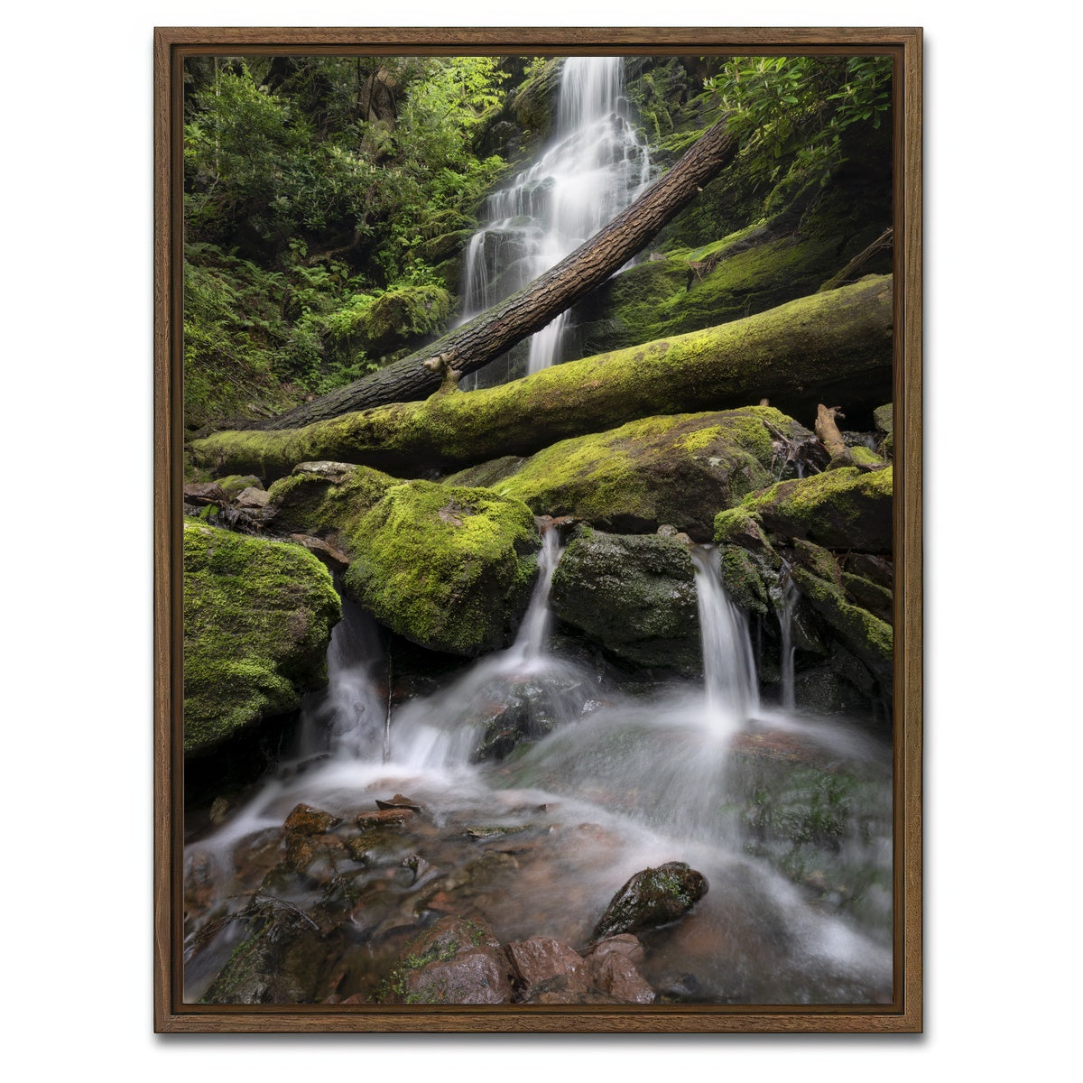 AUTO-MOCKUP WHITE | Salamander's Lair | 1 Piece | Walnut Framed Canvas | group=3x4