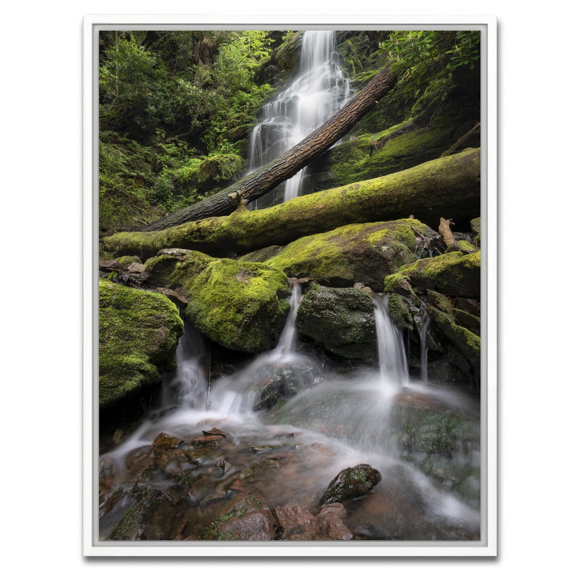 AUTO-MOCKUP WHITE | Salamander's Lair | 1 Piece | White Framed Canvas | group=3x4