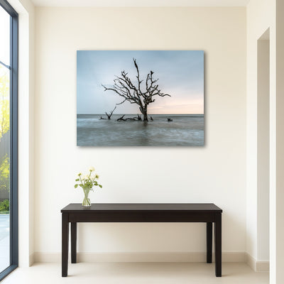 AUTO-MOCKUP ROOM | Salt Tree