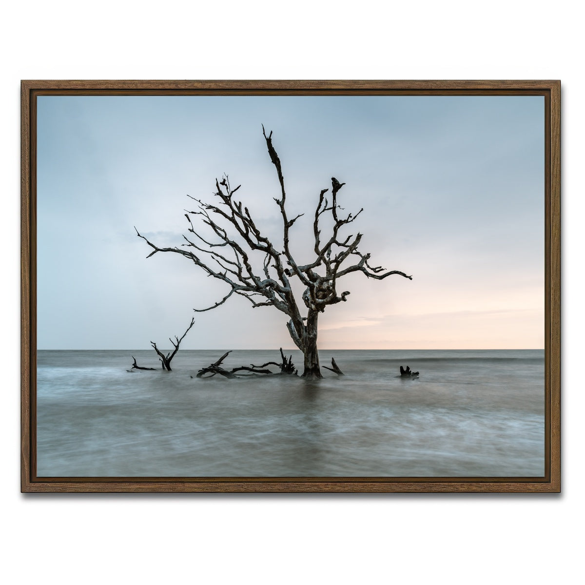 AUTO-MOCKUP WHITE | Salt Tree | 1 Piece | Walnut Framed Canvas | group=4x3