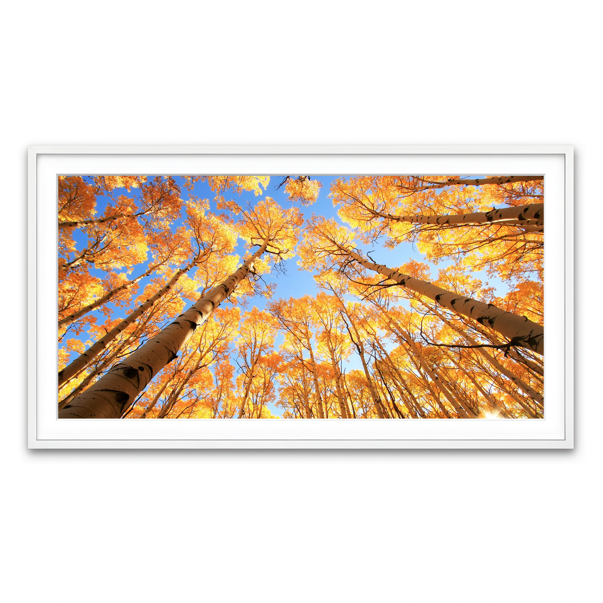 Framed Print 2x1 White