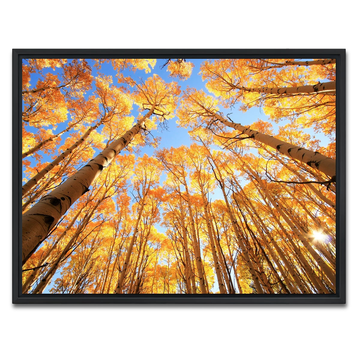 AUTO-MOCKUP WHITE | San Juan Aspens | 1 Piece | Black Framed Canvas | group=4x3