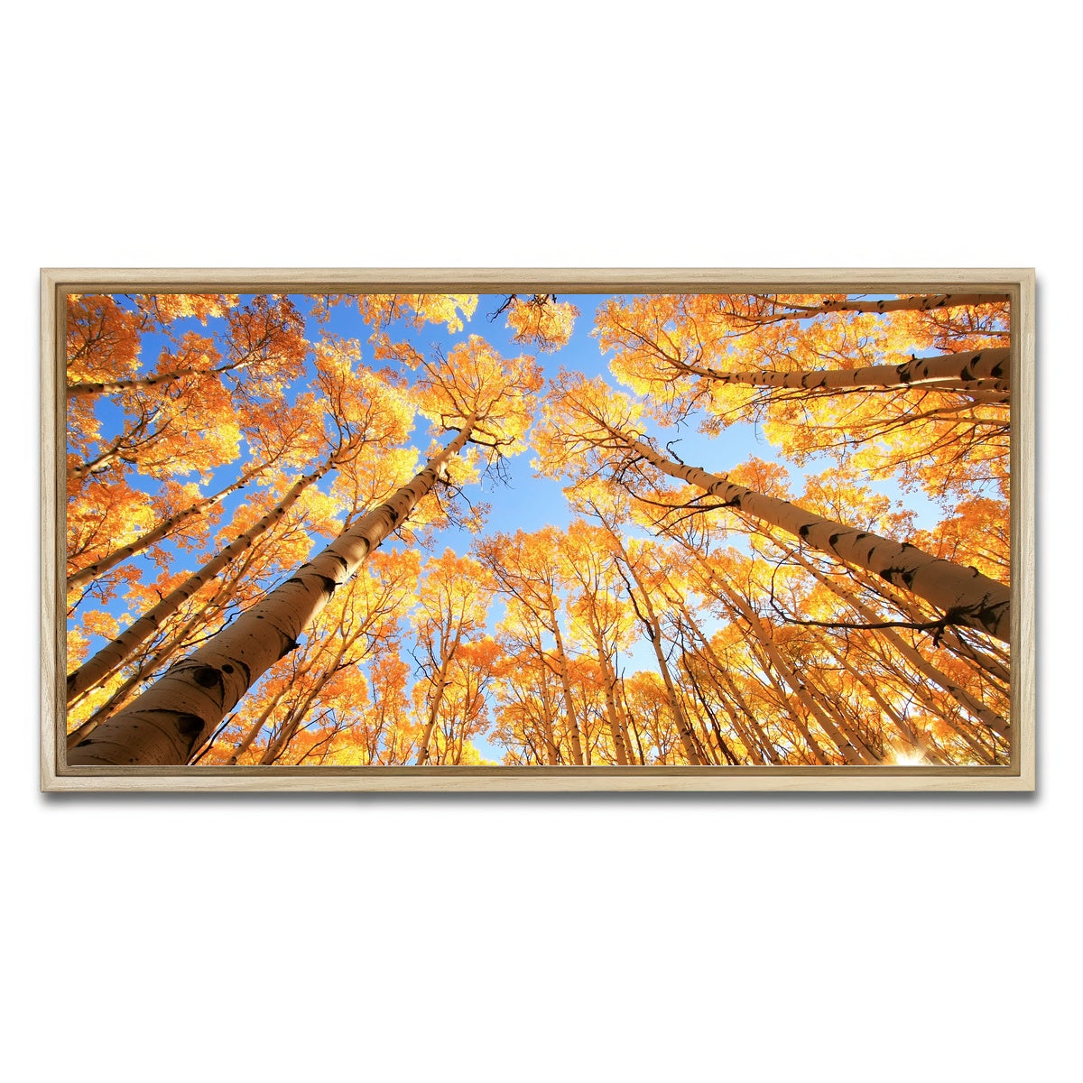 AUTO-MOCKUP WHITE | San Juan Aspens | 1 Piece | Natural Framed Canvas | group=2x1