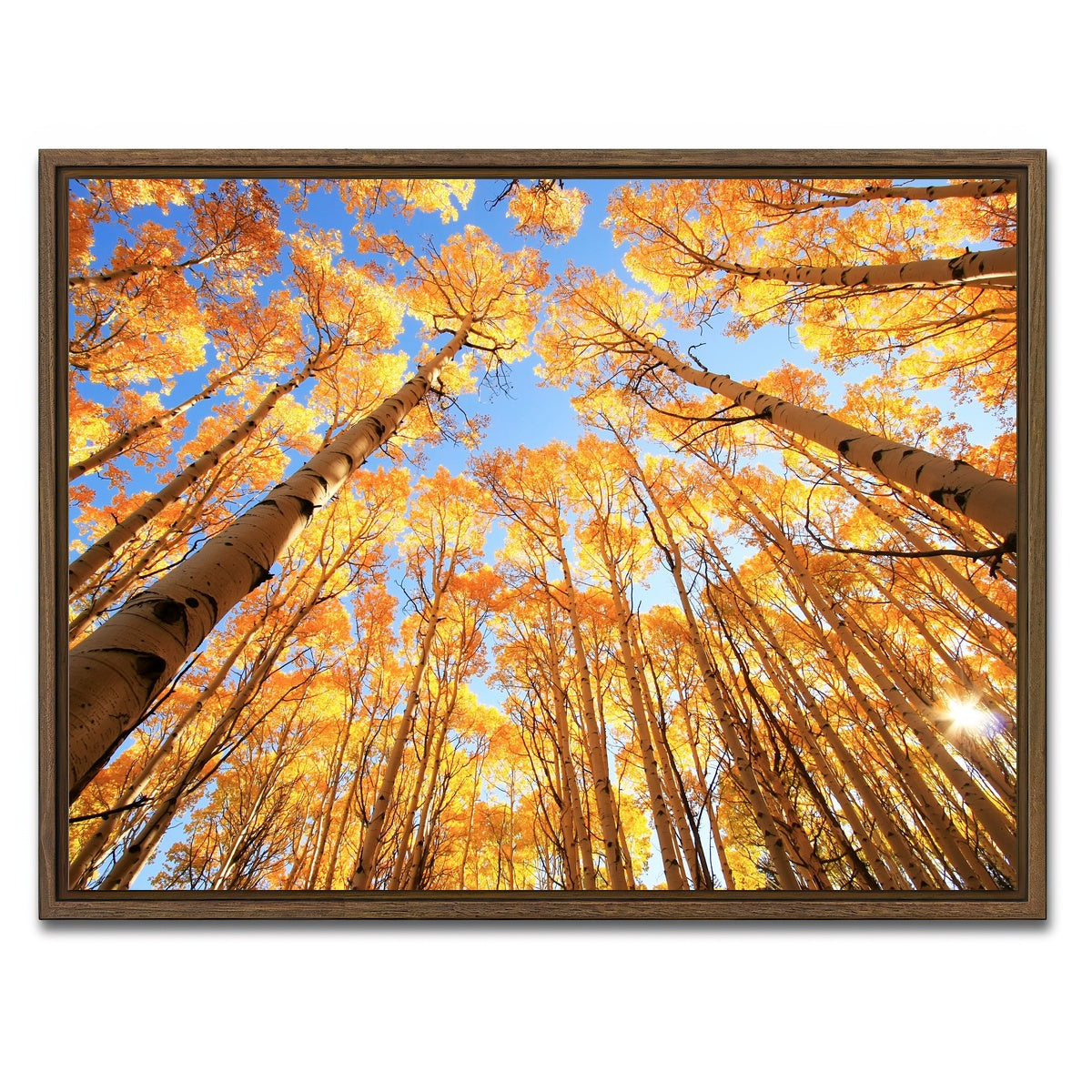 AUTO-MOCKUP WHITE | San Juan Aspens | 1 Piece | Walnut Framed Canvas | group=4x3