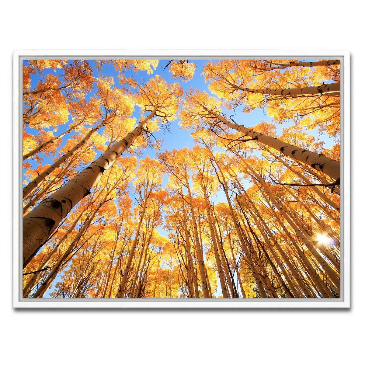 AUTO-MOCKUP WHITE | San Juan Aspens | 1 Piece | White Framed Canvas | group=4x3