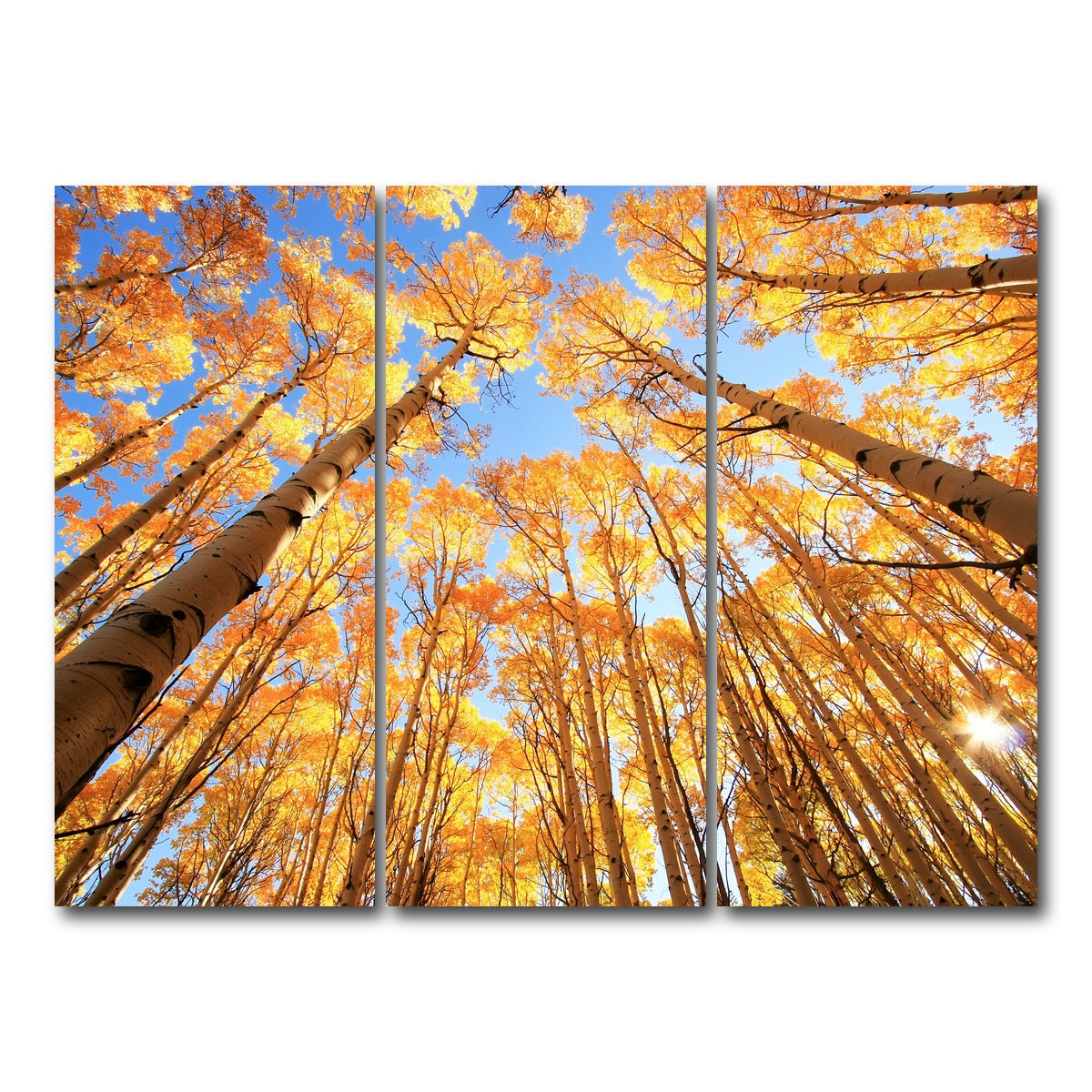 AUTO-MOCKUP WHITE | San Juan Aspens | 3 Piece | Gallery Wrap Canvas | group=8x18