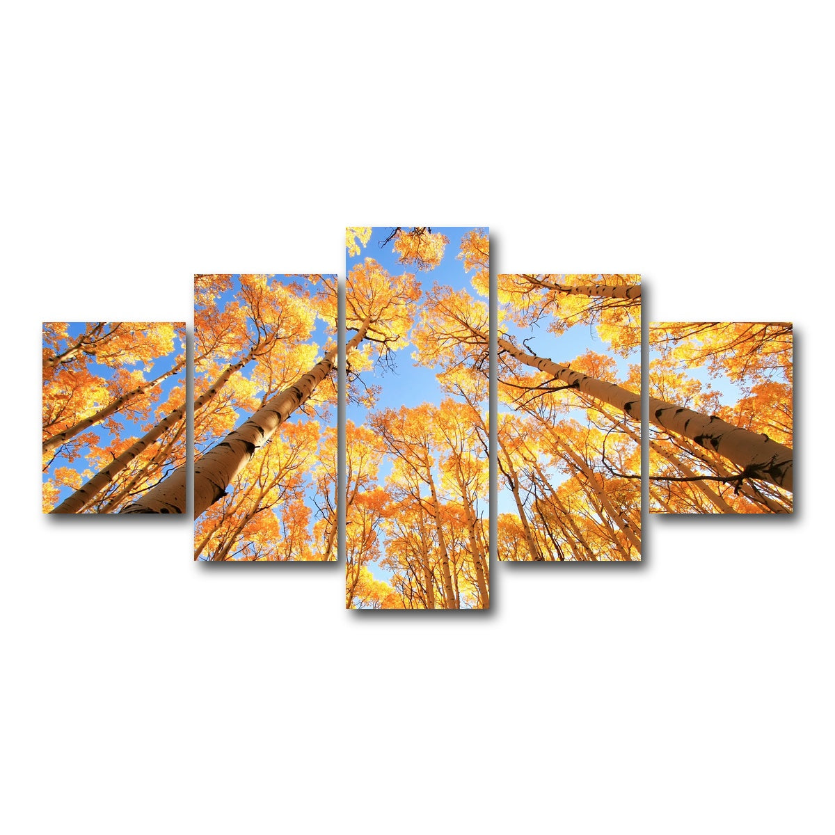 AUTO-MOCKUP WHITE | San Juan Aspens | 5 Piece | Gallery Wrap Canvas | group=5_short