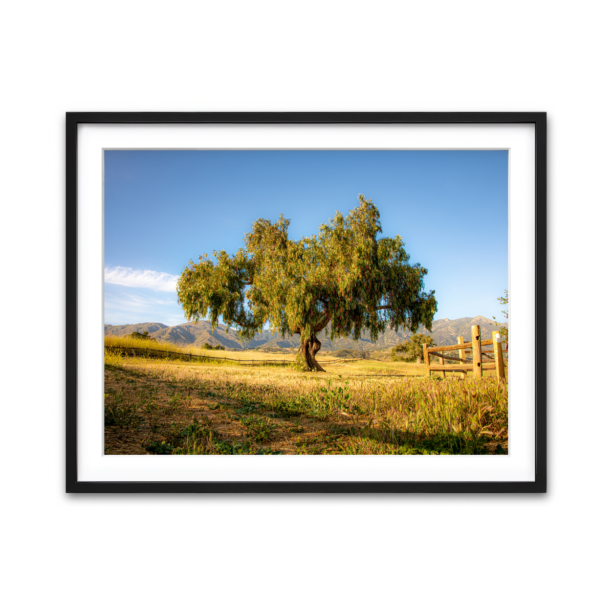 Framed Print 4x3 Black