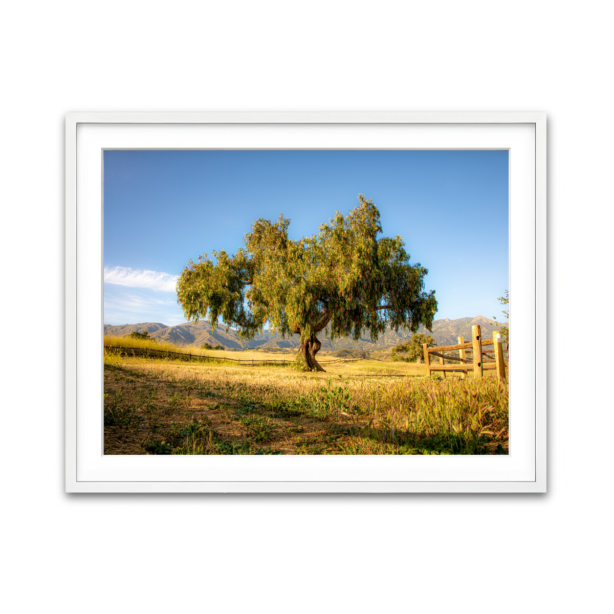 Framed Print 4x3 White
