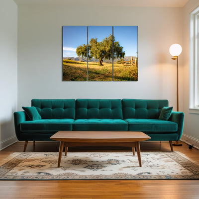 AUTO-MOCKUP ROOM | San Marcos Foothills