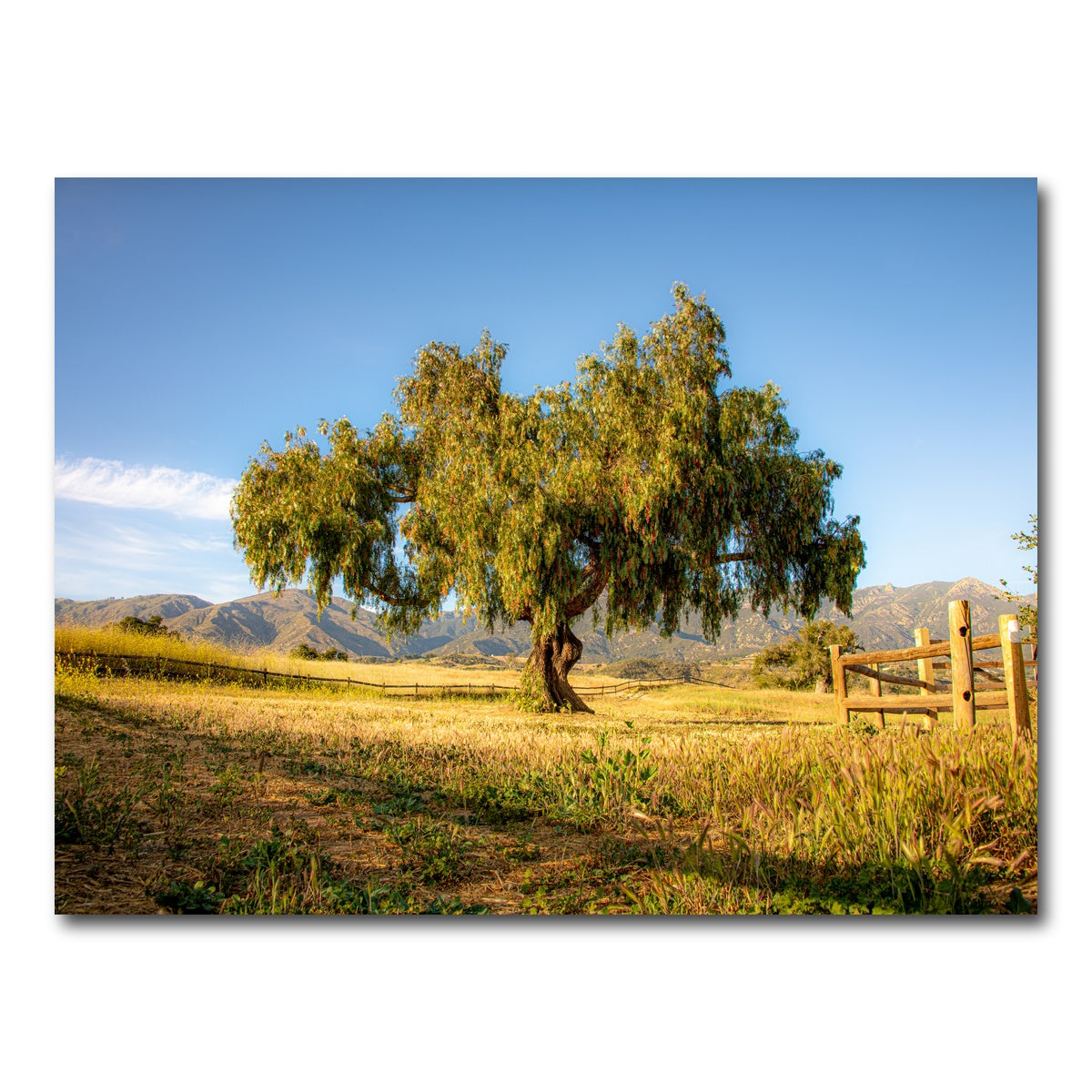AUTO-MOCKUP WHITE | San Marcos Foothills | 1 Piece | Gallery Wrap Canvas | group=4x3