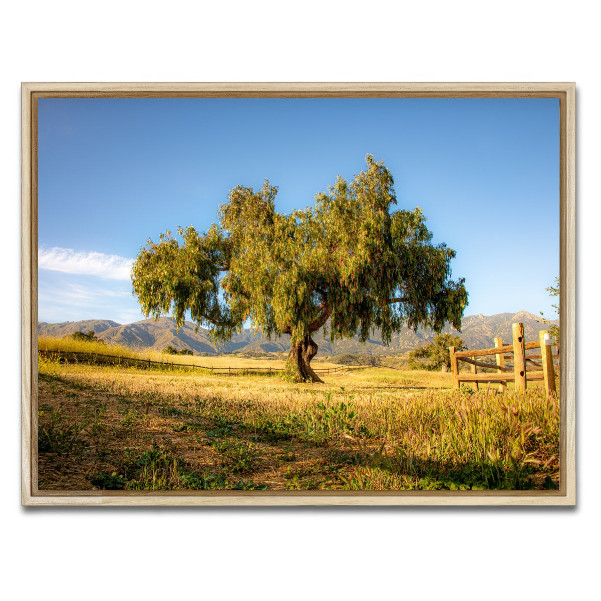 AUTO-MOCKUP WHITE | San Marcos Foothills | 1 Piece | Natural Framed Canvas | group=4x3