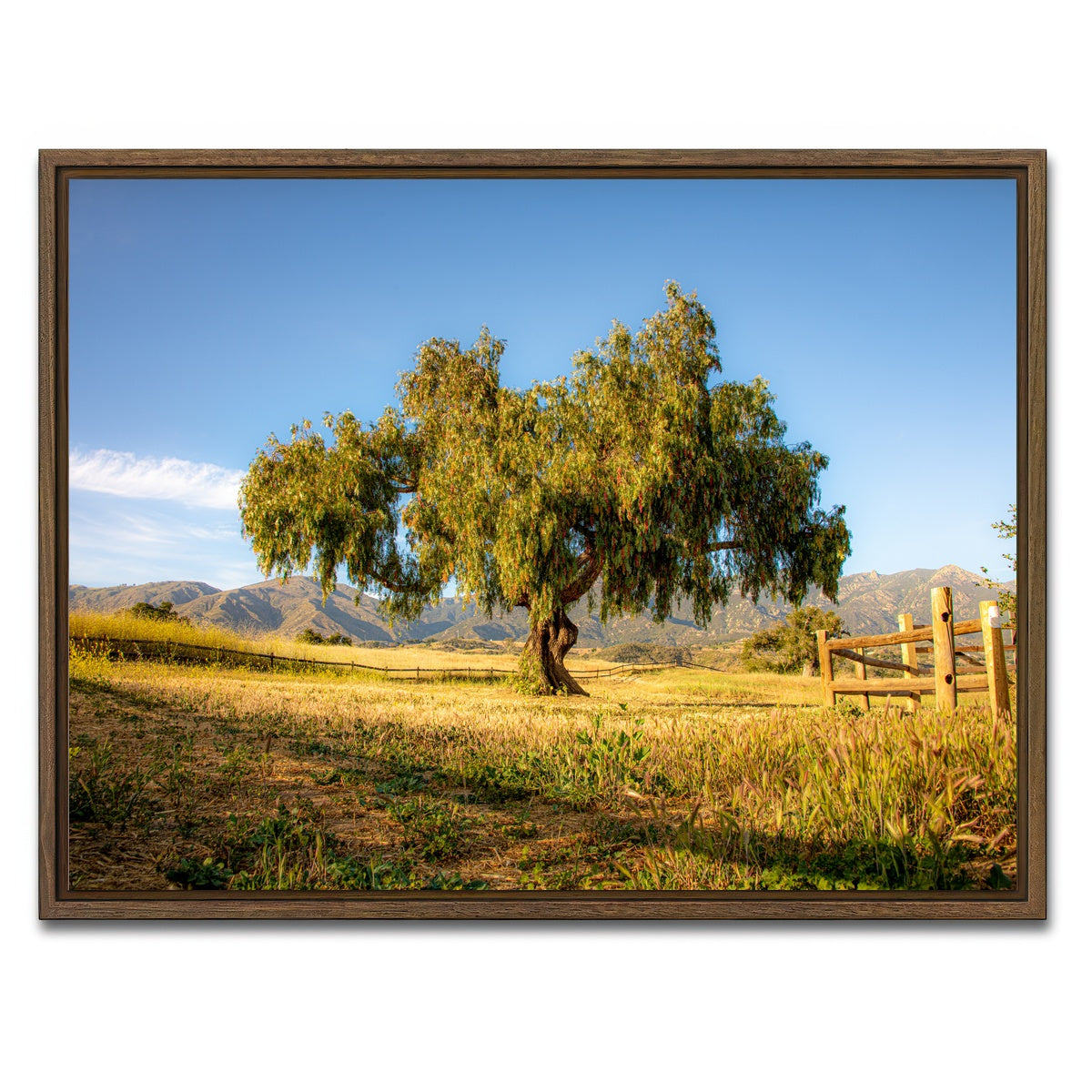 AUTO-MOCKUP WHITE | San Marcos Foothills | 1 Piece | Walnut Framed Canvas | group=4x3