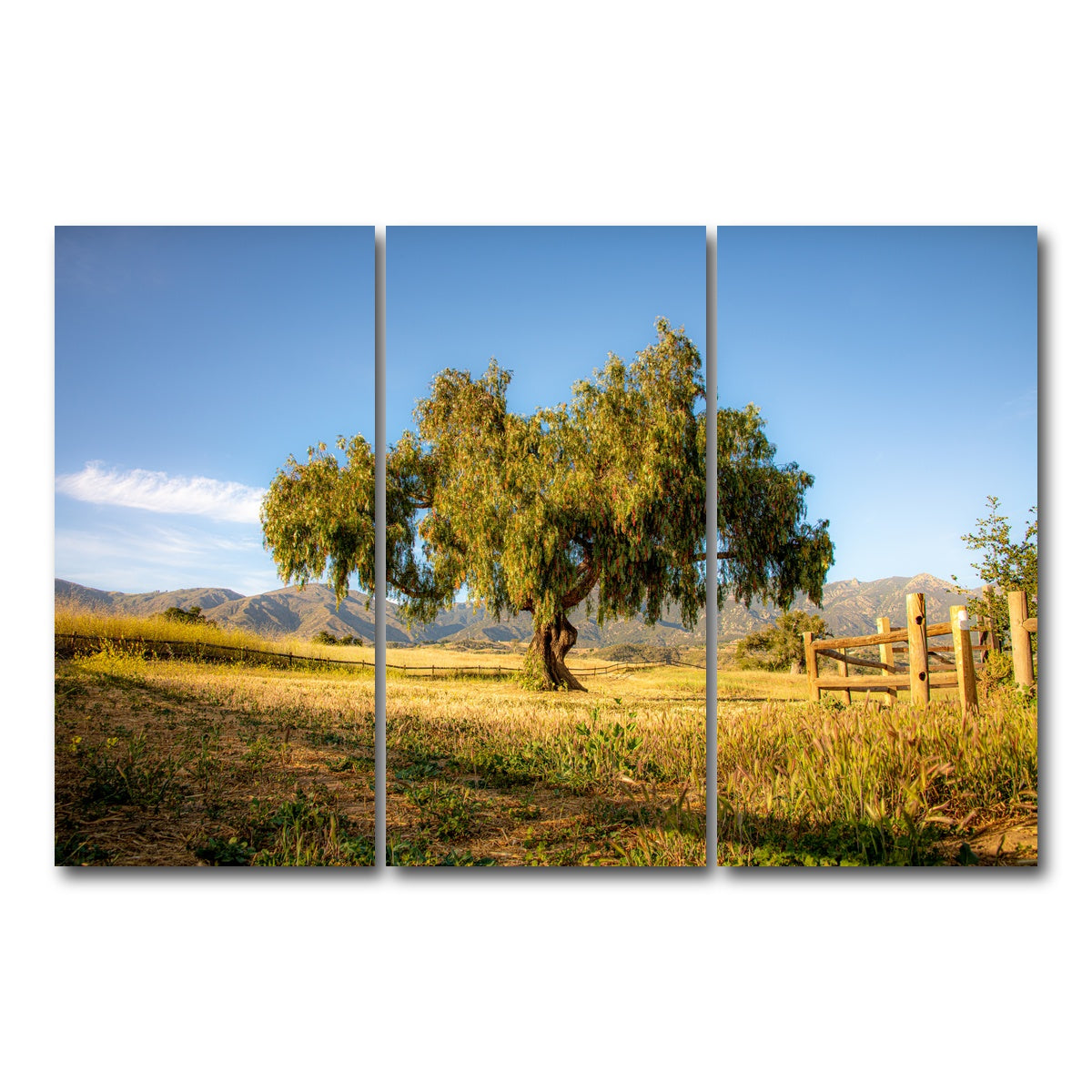 AUTO-MOCKUP WHITE | San Marcos Foothills | 3 Piece | Gallery Wrap Canvas | group=12x24