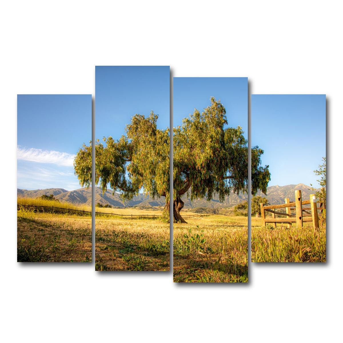 AUTO-MOCKUP WHITE | San Marcos Foothills | 4 Piece | Gallery Wrap Canvas | group=4_normal