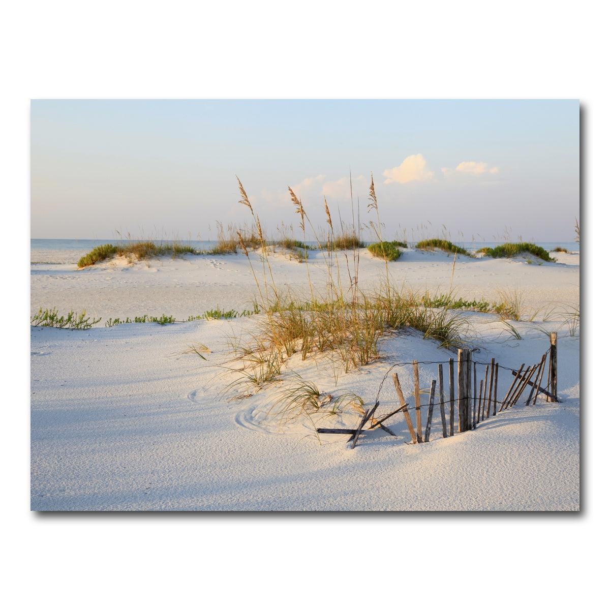 AUTO-MOCKUP WHITE | Sand Dunes and Sea Oats | 1 Piece | Gallery Wrap Canvas | group=4x3