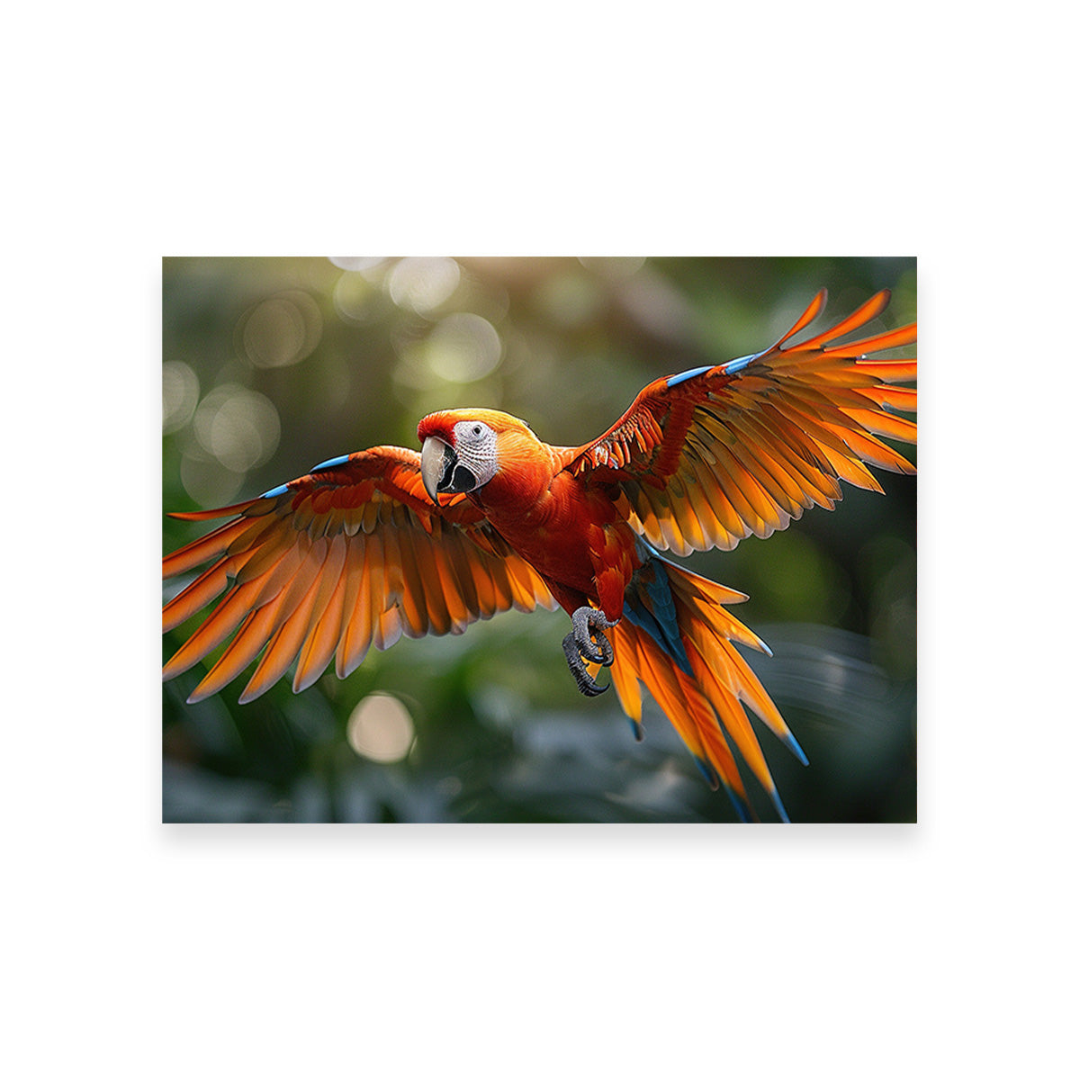 Scarlet Macaw in Flight Wall Art