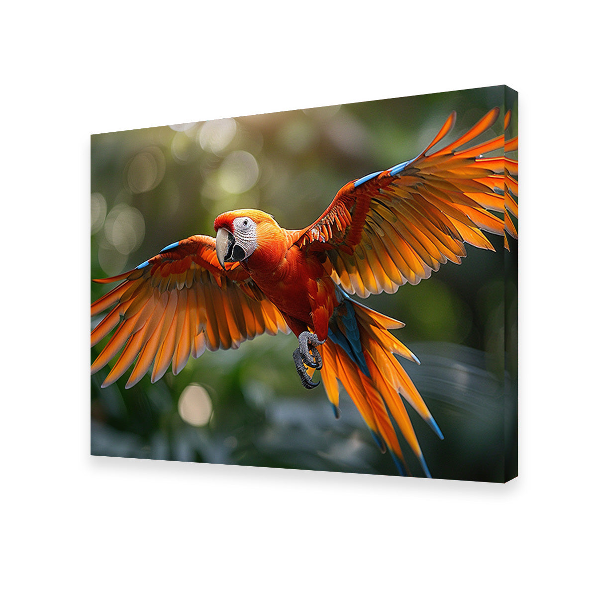 Scarlet Macaw in Flight Wall Art