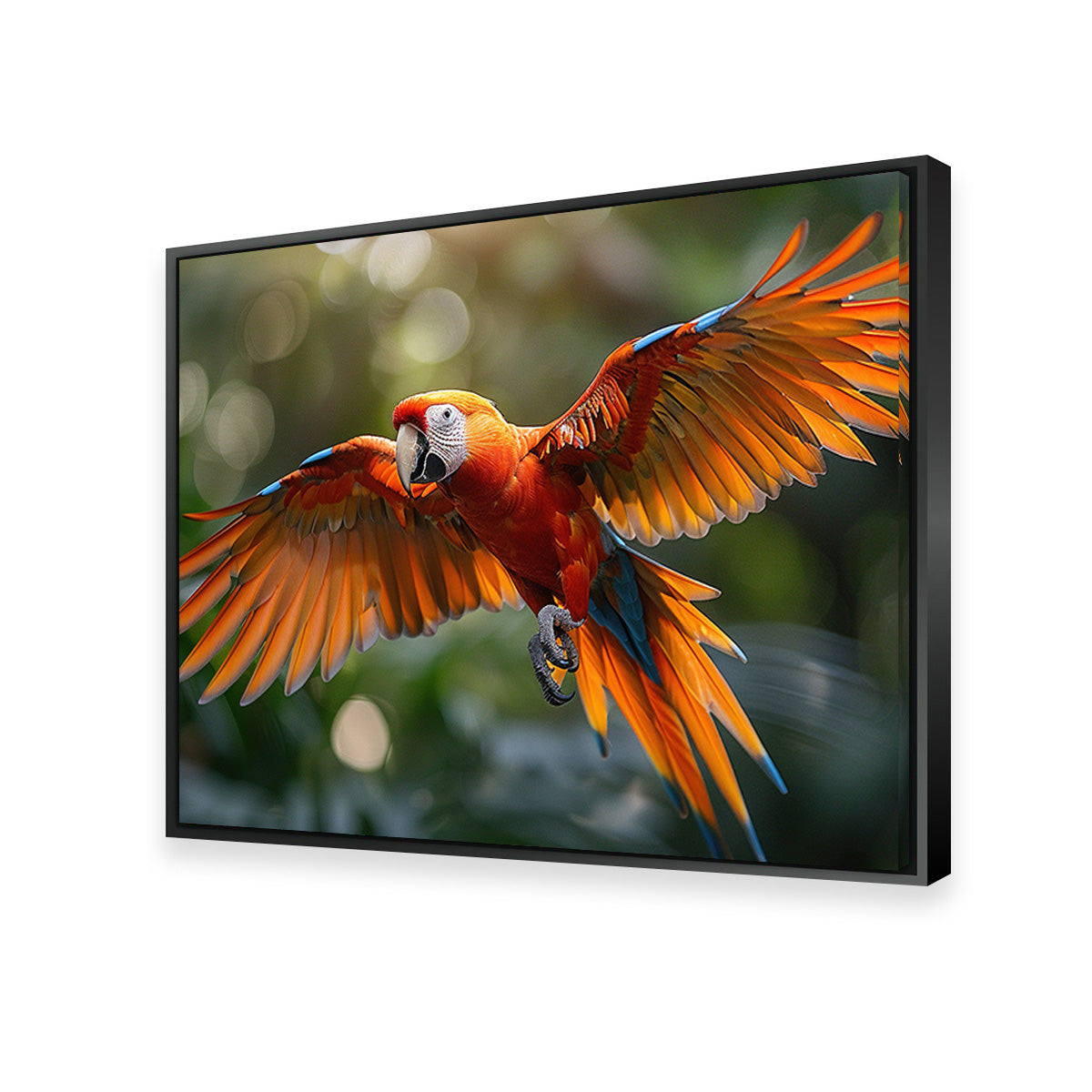 Scarlet Macaw in Flight Wall Art