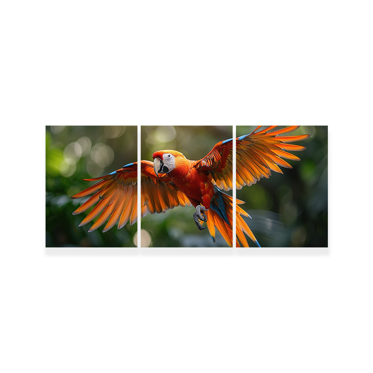 Scarlet Macaw in Flight Wall Art