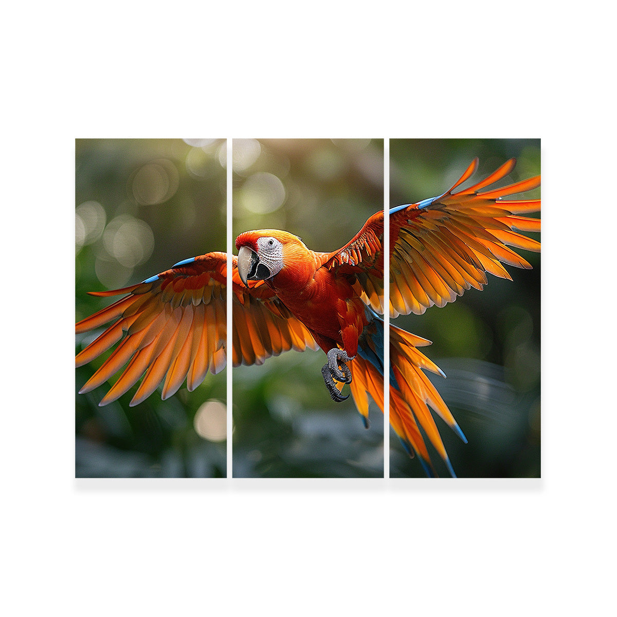 Scarlet Macaw in Flight Wall Art