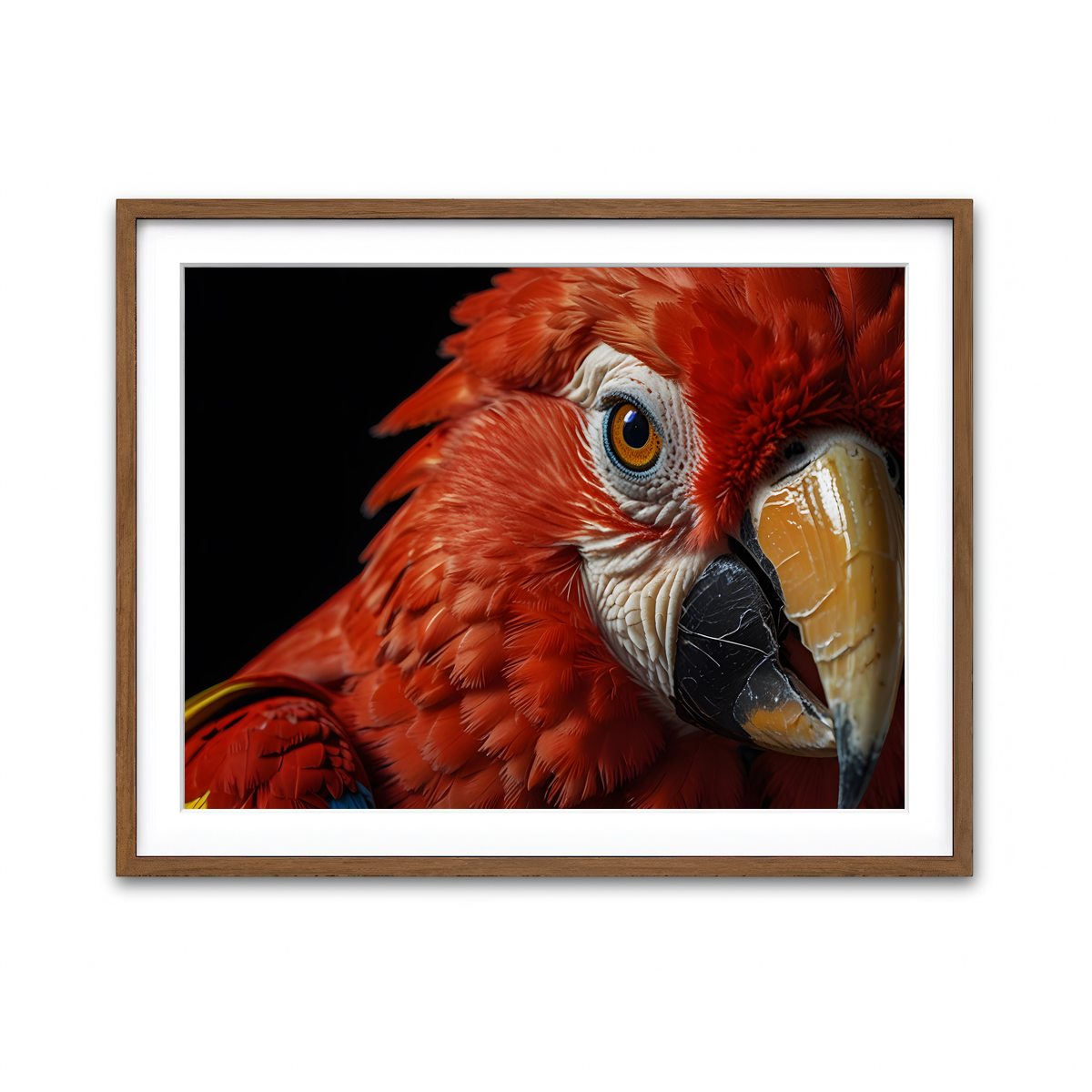 Framed Print 4x3 Walnut