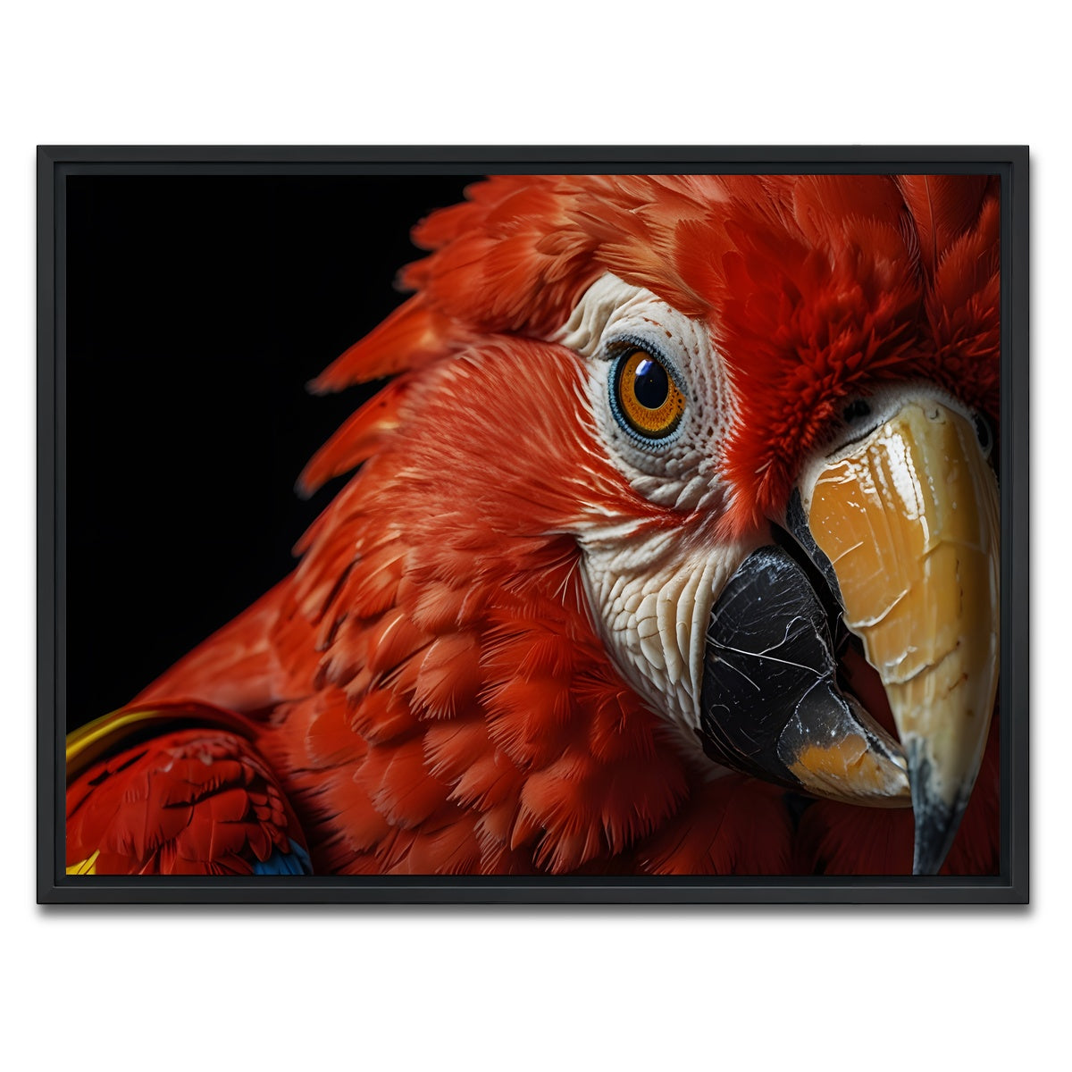 AUTO-MOCKUP WHITE | Scarlet Macaw close-up | 1 Piece | Black Framed Canvas | group=4x3