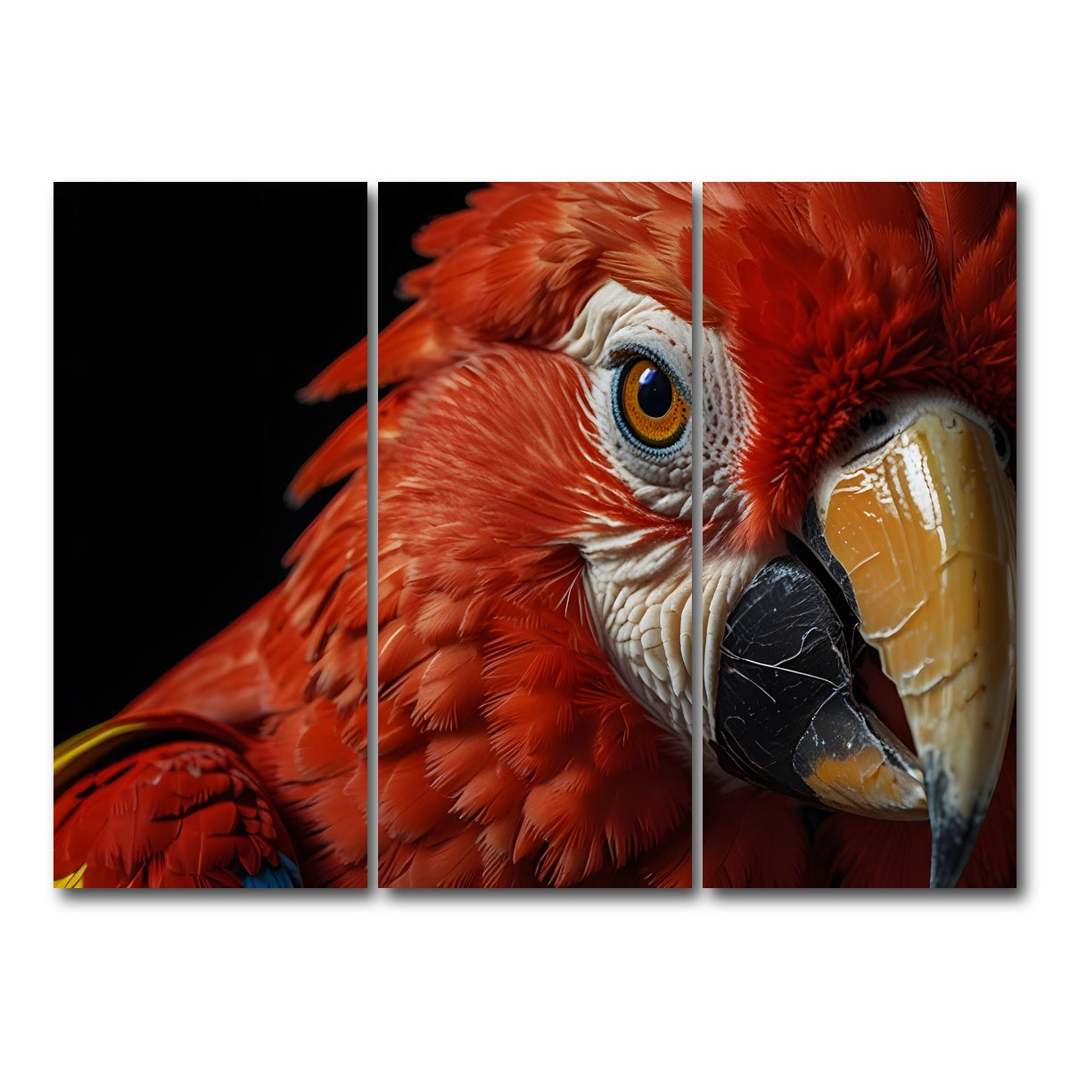 AUTO-MOCKUP WHITE | Scarlet Macaw close-up | 3 Piece | Gallery Wrap Canvas | group=8x18