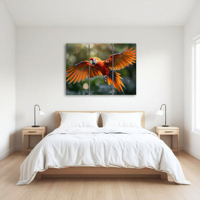 AUTO-MOCKUP ROOM | Scarlet Macaw in Flight