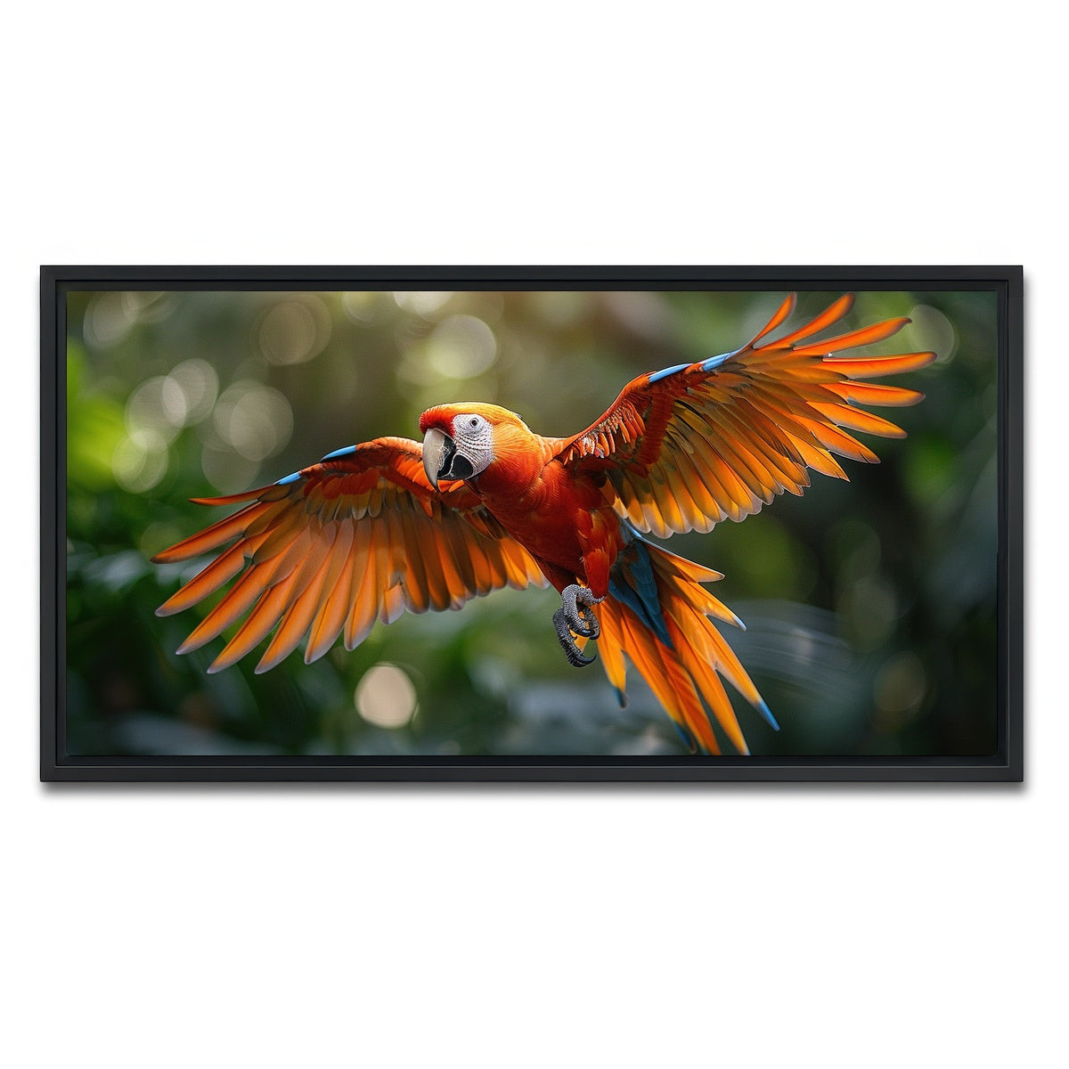 AUTO-MOCKUP WHITE | Scarlet Macaw in Flight | 1 Piece | Black Framed Canvas | group=2x1
