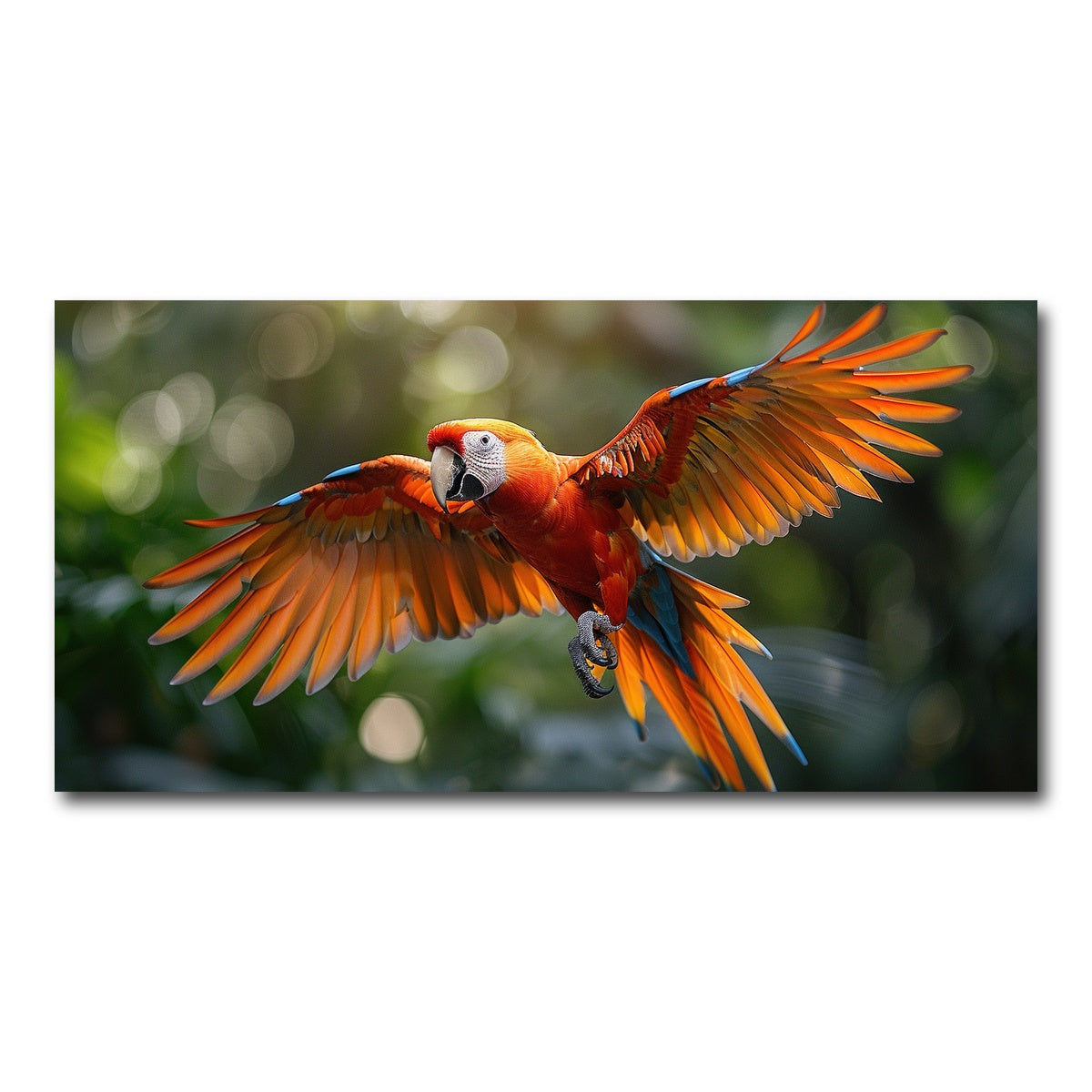 AUTO-MOCKUP WHITE | Scarlet Macaw in Flight | 1 Piece | Gallery Wrap Canvas | group=2x1