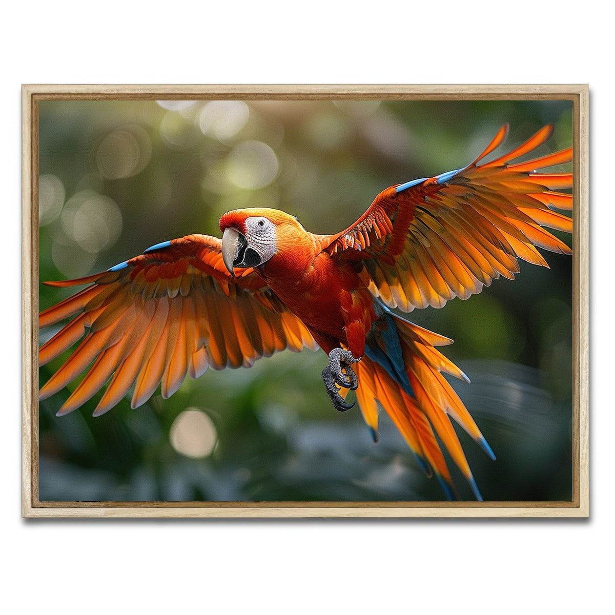 AUTO-MOCKUP WHITE | Scarlet Macaw in Flight | 1 Piece | Natural Framed Canvas | group=4x3