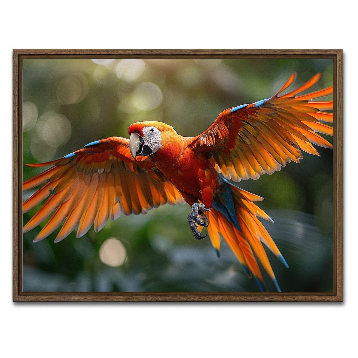 AUTO-MOCKUP WHITE | Scarlet Macaw in Flight | 1 Piece | Walnut Framed Canvas | group=4x3