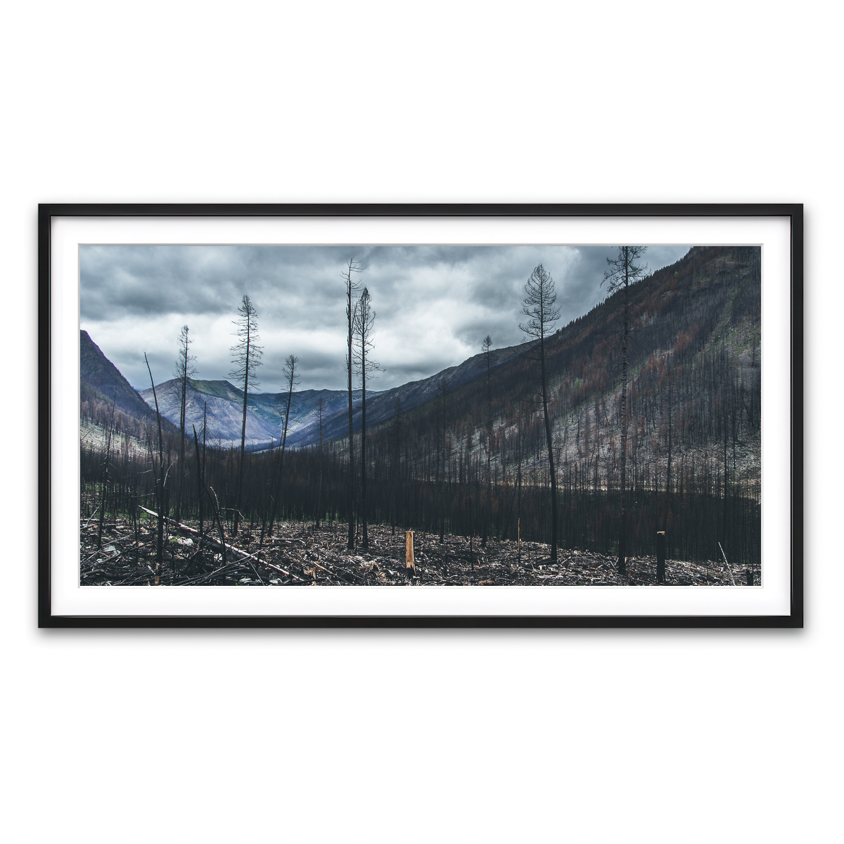 Framed Print 2x1 Black