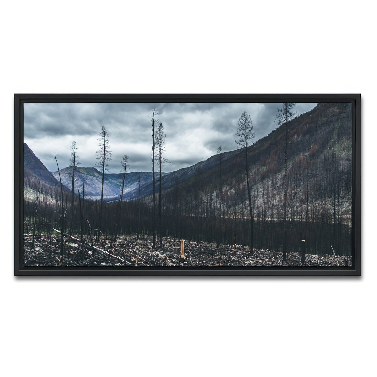 AUTO-MOCKUP WHITE | Scorched Trees | 1 Piece | Black Framed Canvas | group=2x1