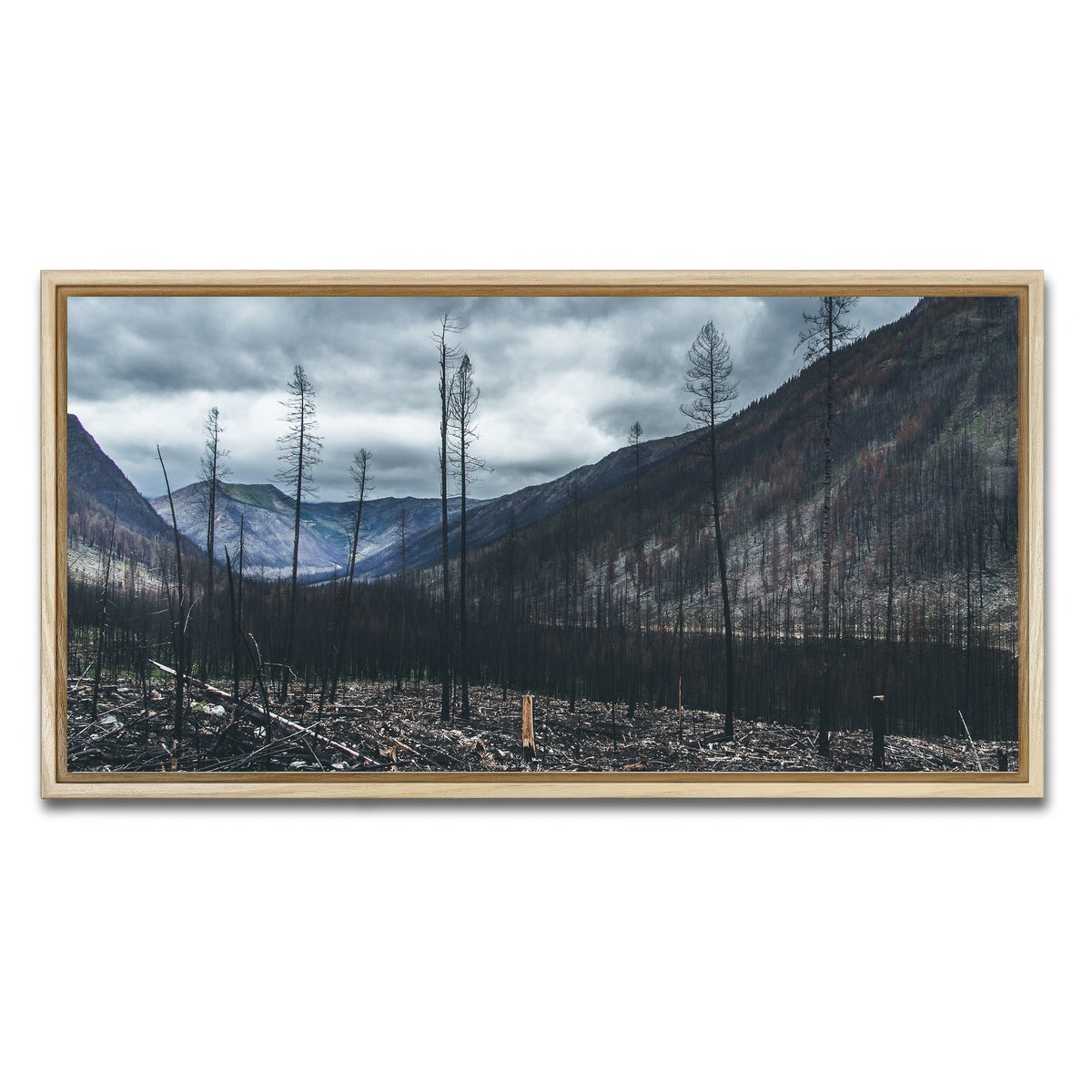 AUTO-MOCKUP WHITE | Scorched Trees | 1 Piece | Natural Framed Canvas | group=2x1